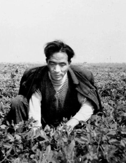 焦裕禄带孩子吃瓜,一段感人至深的吃瓜故事