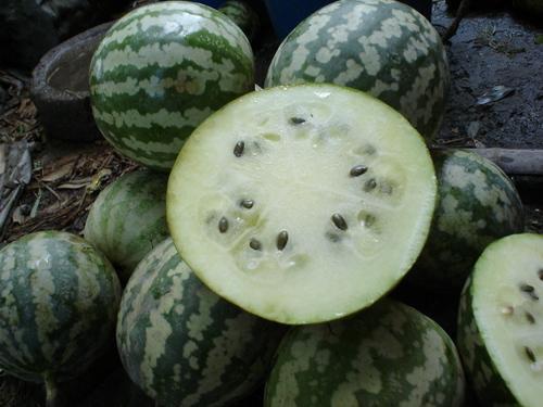 阑尾炎可以吃绿宝瓜吗,绿宝瓜的适宜性探讨