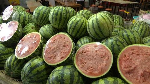 豆瓣自由吃瓜备用,揭秘网络舆论场的真实面貌