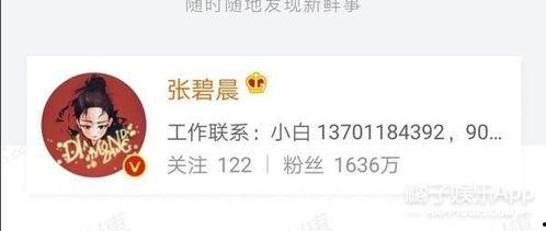 速速吃瓜小说,揭秘娱乐圈背后的秘密与真相