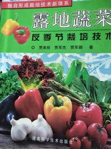 小侯吃瓜教案,趣味盎然的儿童生活教学案例