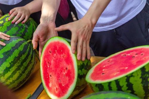 吃瓜学校校名,探寻校园里的独特文化现象