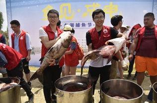 吃瓜学校校名,探寻校园里的独特文化现象