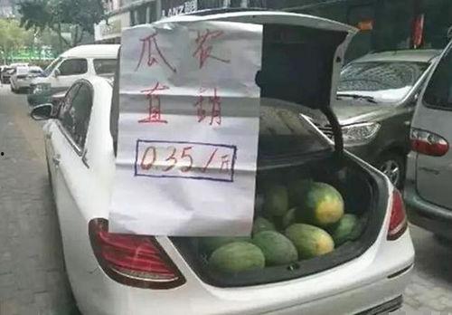 汽车 吃瓜,揭秘汽车行业热点事件背后的故事