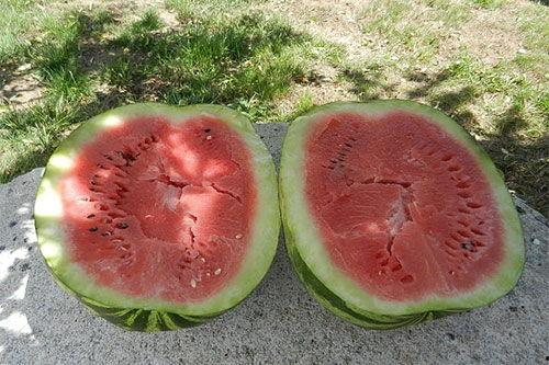 梦见吃胡子瓜,揭秘吃胡子瓜的神秘寓意