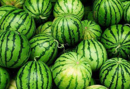 发烧可以吃苏瓜吗,苏瓜能否成为食疗佳选？