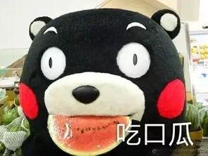 吃瓜啦听歌,跟随旋律探寻流行乐坛的精彩瞬间