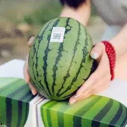 喜欢的人看吃瓜,与心爱之人共享的瓜趣时光