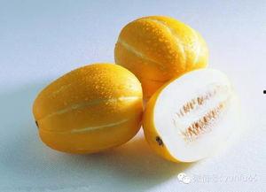 怀孕初期可以吃嫩瓜吗,嫩瓜的适宜食用与注意事项