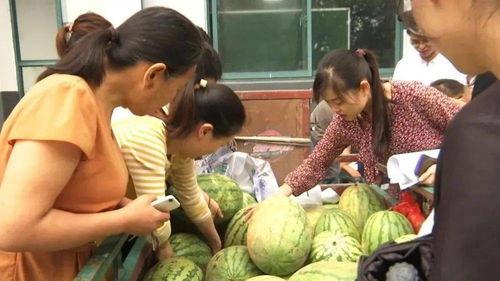 村里吃瓜视频,吃瓜视频里的农村生活剪影