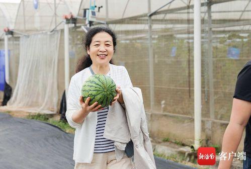 张焱吃瓜,揭秘娱乐圈幕后故事