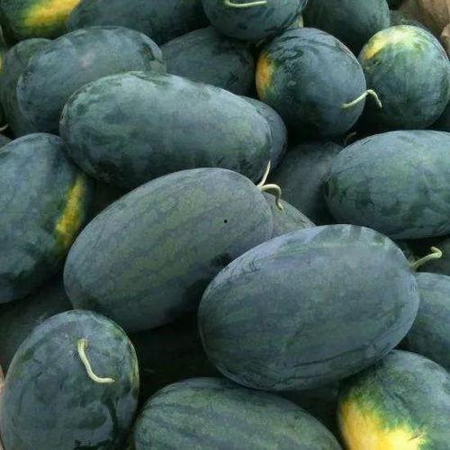 偃师区吃瓜,一场别开生面的吃瓜盛宴