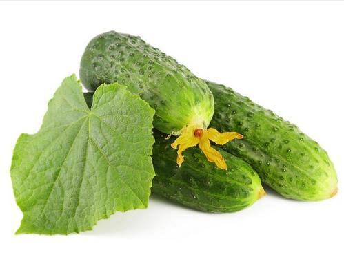 绿色 瓜 吃的 蔬菜