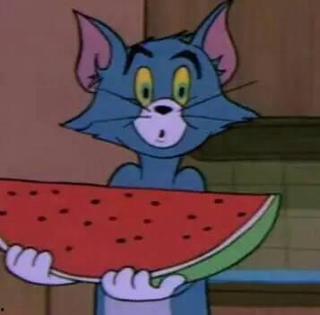 沙雕吃瓜图片,盘点那些让人捧腹大笑的瞬间